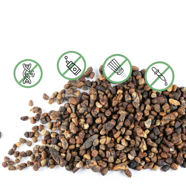 Organic Cardamom Seeds Jiva Organics Pure Premium Vegan-7